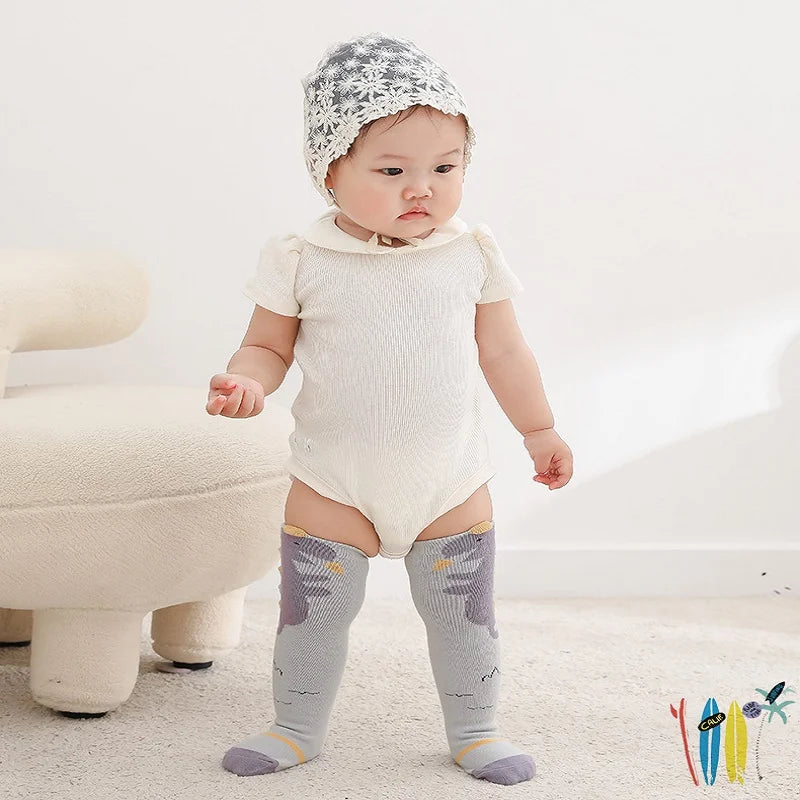 Dinosaurs Knee High Socks for Kids