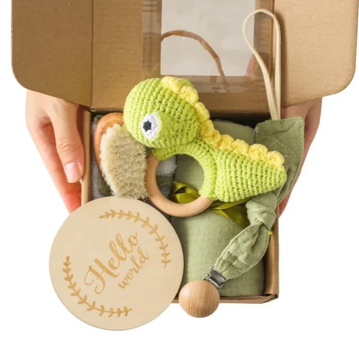 Hand Made Newborn Gift Box with hand made Dinosaur Rattle Toy