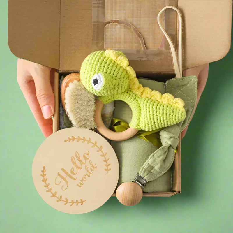 Hand Made Newborn Gift Box with hand made Dinosaur Rattle Toy