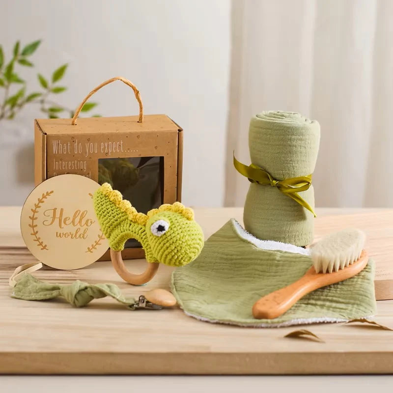 Hand Made Newborn Gift Box with hand made Dinosaur Rattle Toy