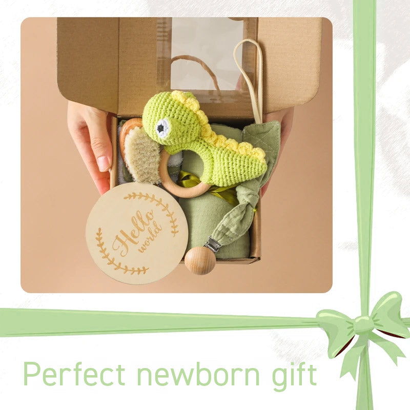 Hand Made Newborn Gift Box with hand made Dinosaur Rattle Toy